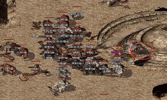 兄弟伴我行,传奇永相依 兄弟伴我行,传奇永相依